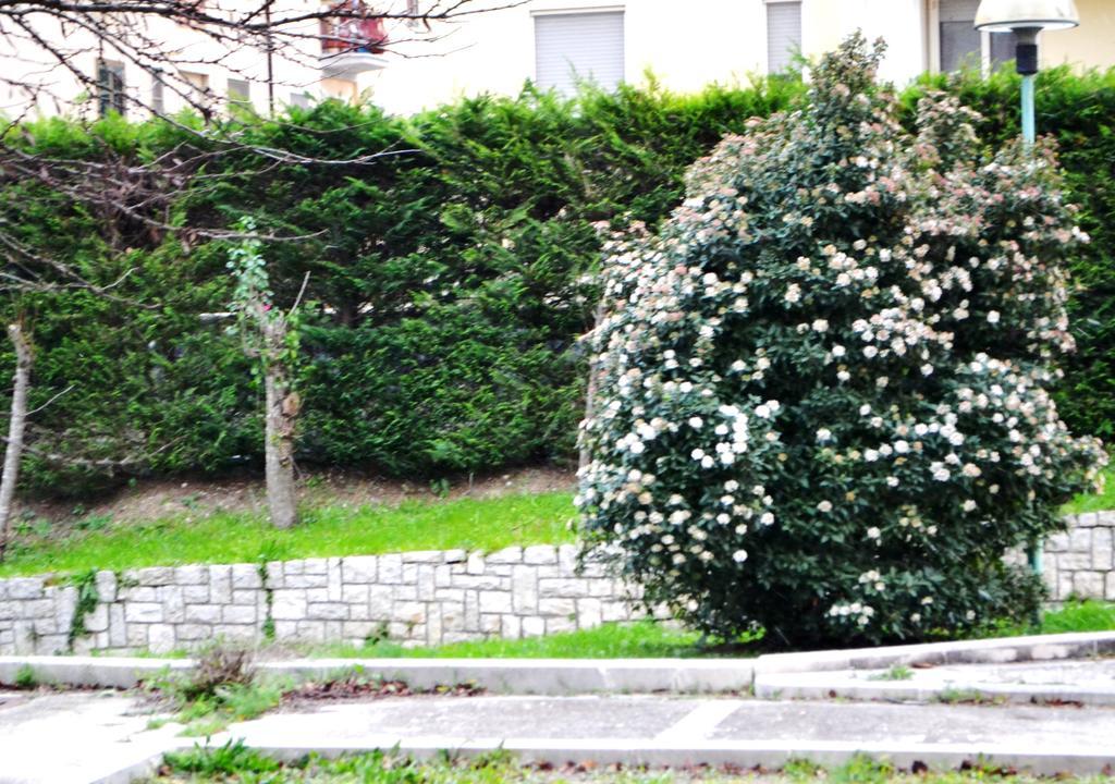 דירות מטרה La Casa Di Olga מראה חיצוני תמונה